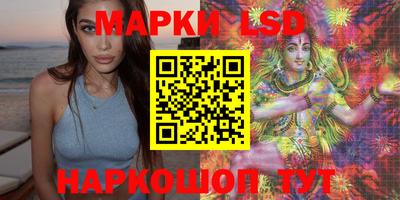 гидра Новозыбков