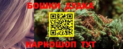 гидра Новозыбков