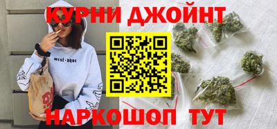 гидра Новозыбков