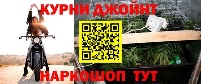 гидра Новозыбков
