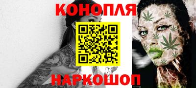гидра Новозыбков