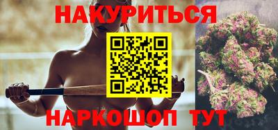 гидра Новозыбков
