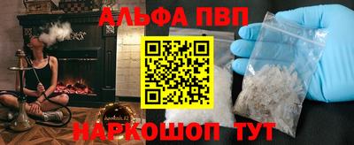 гидра Новозыбков