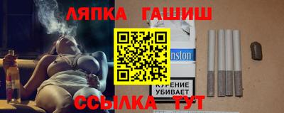 гидра Новозыбков