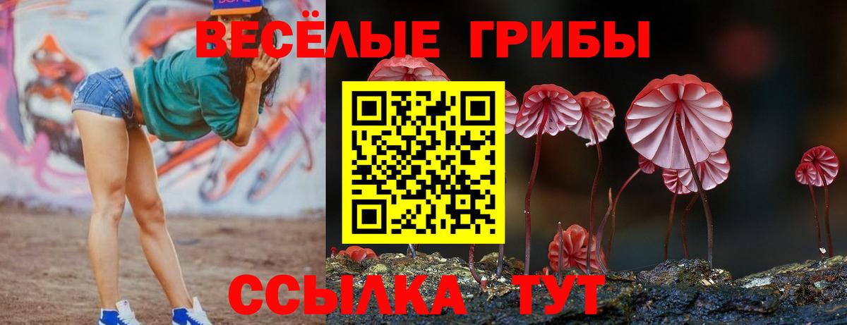 Псилоцибиновые грибы мухоморы Ухта
